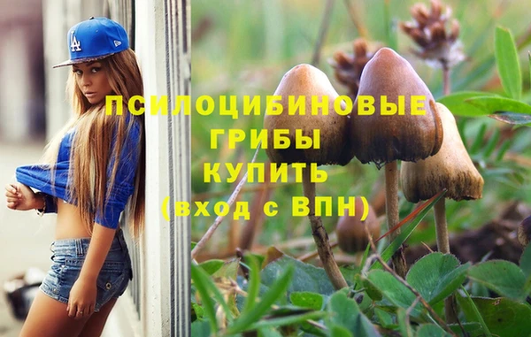 эйфоретик Абинск