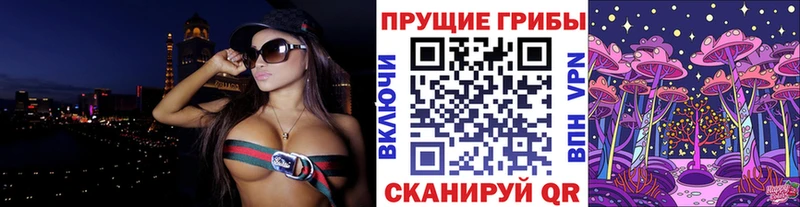 kraken как войти  Алзамай  Галлюциногенные грибы Cubensis 