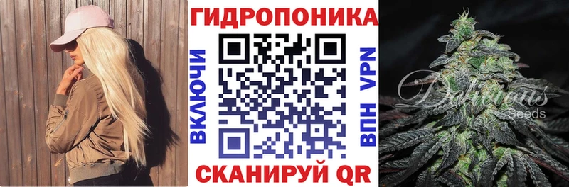 Бошки Шишки конопля Алзамай